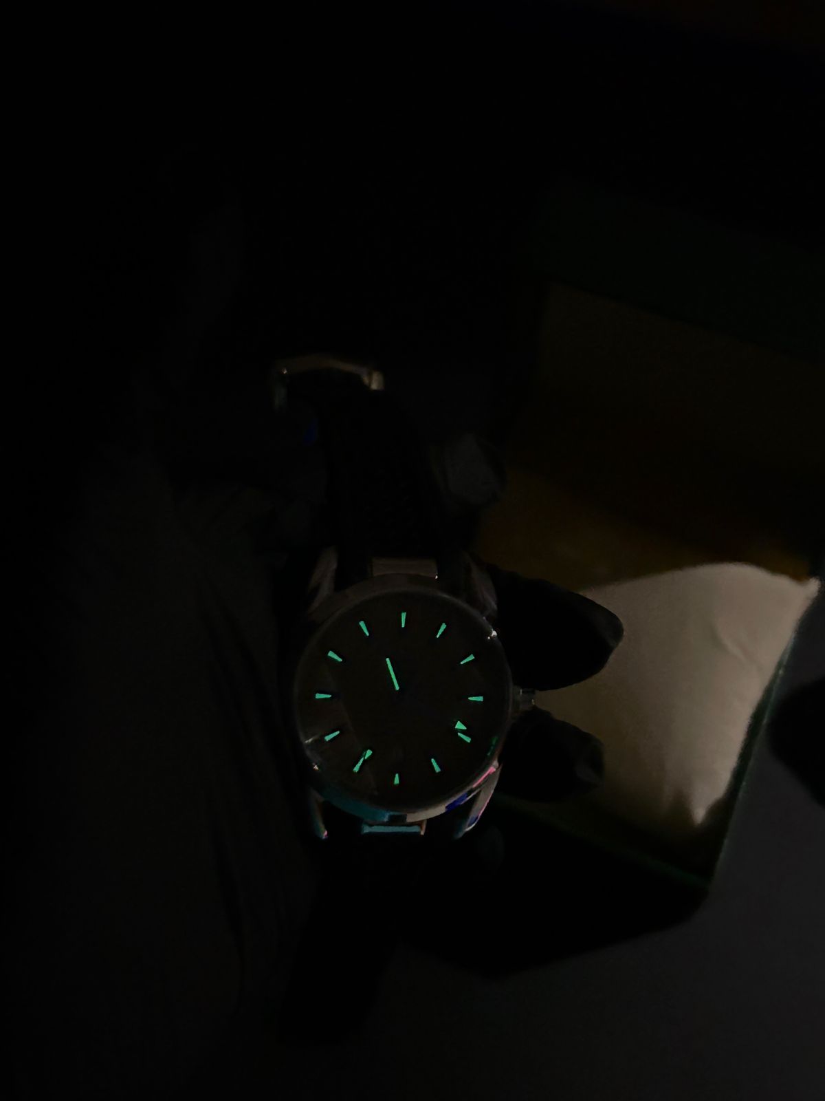 OMEGA SeaMaster Professional